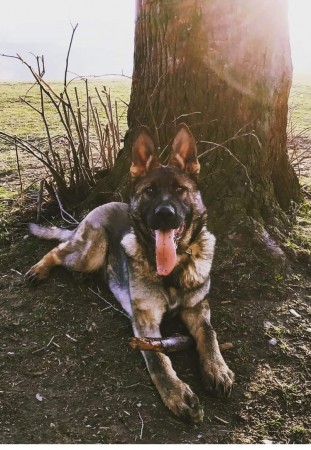 Chán Marco-Slovakia